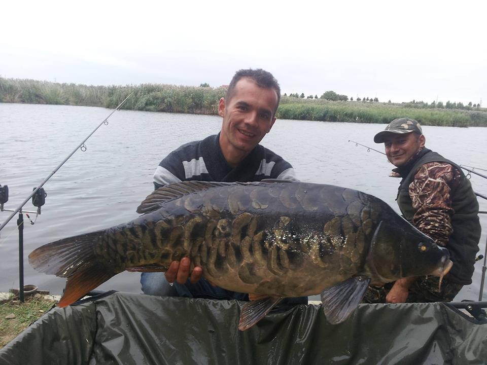 Best Off - 1474668102010332413332471081220915n.jpg